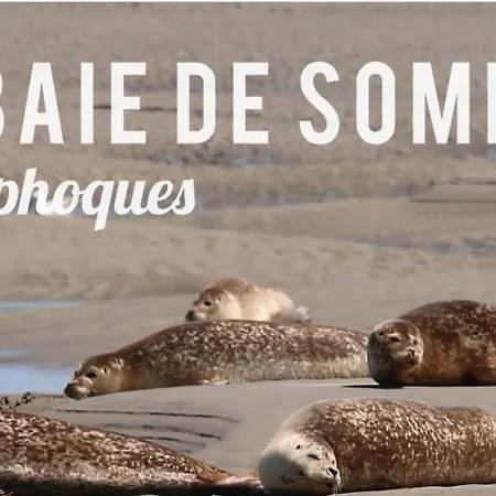 Nid Nature Et Douceur A Eu - Proche Du Treport Et De La Baie De Somme Feriehus